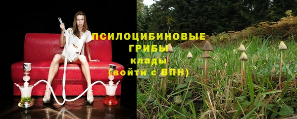 эйфоретик Алексеевка