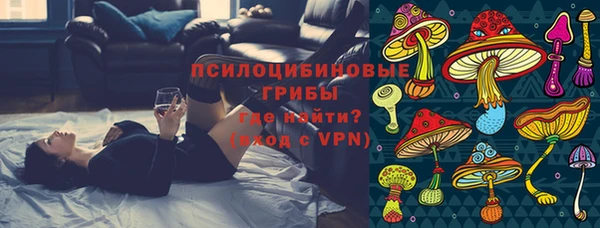 амф Алексин