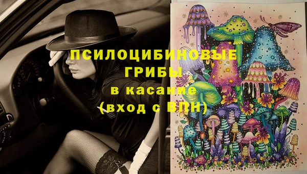 эйфоретик Алексеевка