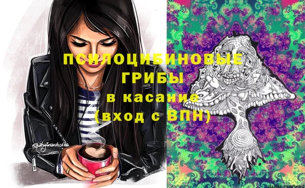 спайс Абаза