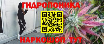 гидропоника Ставрополь