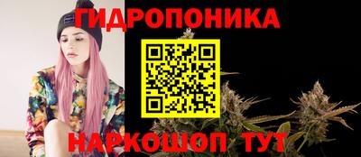 гидропоника Ставрополь