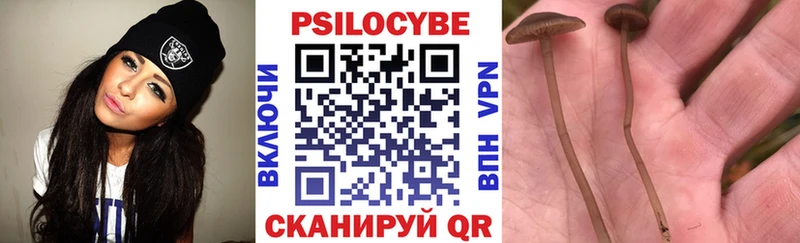 купить наркотик  Арсеньев  Галлюциногенные грибы ЛСД 