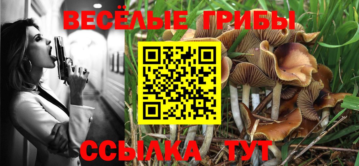 Арсеньев  купить  сайты  Вход с VPN  Псилоцибиновые грибы Cubensis 
